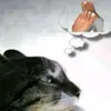 i_lovefeet0