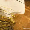 speedman.cm