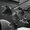 onlylovv1