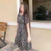 dautvideo19
