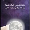 user8741229338034