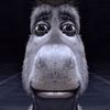 krisbrannan