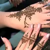 hiba.xsport