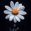 icegee34