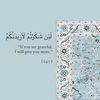 mayhasan338