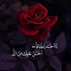 gdjdw6