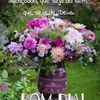 lilianecarolina40