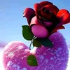 user18297940816075