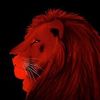 le.lion.rouge7