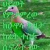 zebeba.yesofe