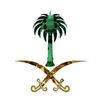7sn.ksa