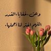 gogo.mahmoud569