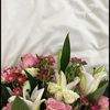 lulu.h021