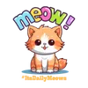 itsdailymeows