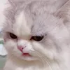 hwydgheusgd