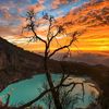 Wisata Ciwidey