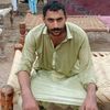 mustaqeemgondal.g