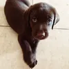 eyespup