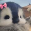 _alya0333