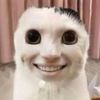 andrewvang5