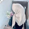 iye13073