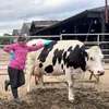 DairySaDairy_UK
