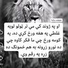 sadat.afghan335