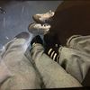 ro0_selin1