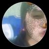 gisellmendoza595