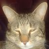gracie.drummond5