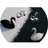 چن ماہی 🌹