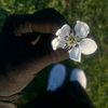 user6126024037620