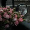 qw_97.u