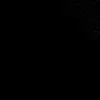 ramii_3331