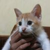 ajigalihsaputra01