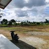 pemuda2333