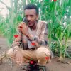 user4432206834629