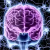 conoce.tu.cerebro