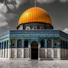 muslimv02