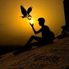 sherkaleem2287