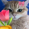 kim.sunoo309