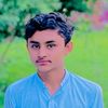 syedsajjad9113
