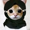 cat_lovers3562