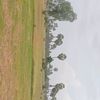 user5130490248257
