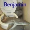 dikigustavoll