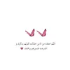 nour.nour4781