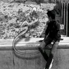 sheikh.14_0