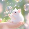 cute5566raheell337