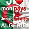 user9231629751090