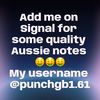 Punchgb